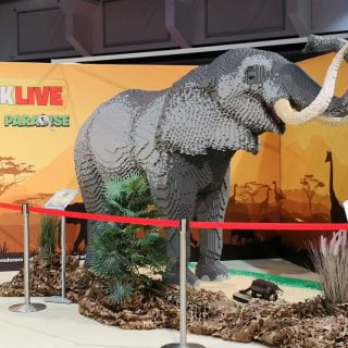 Esposizione Bricklive Monaco